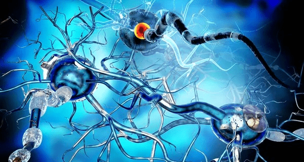 Fin de vie des maladies neurologiques